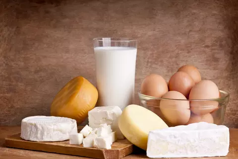 živočišné produkty, mléko, sýr, vejce