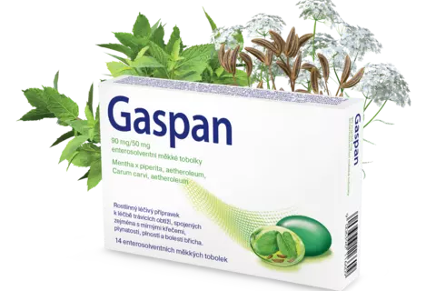 Gaspan krabička máta kmín